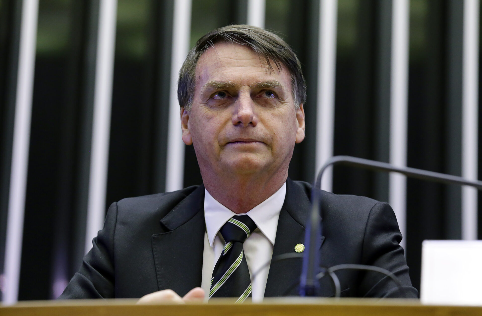 Mpf Investiga Se Bolsonaro Importunou Intencionalmente Uma Baleia