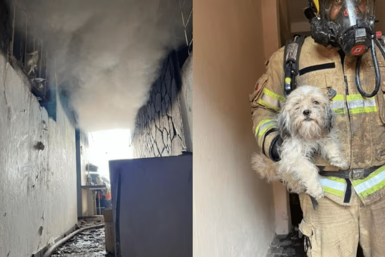 Homem surta e coloca fogo na própria casa