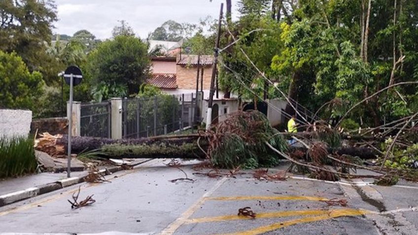 Temporal Em Sp Provoca Novos Alagamentos E Queda De Rvores A Trombeta