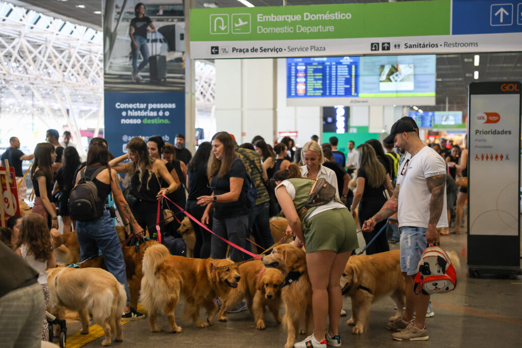 Donos de pets fazem protestos em aeroportos após morte do cão Joca 1