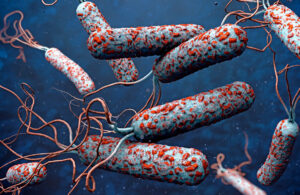 Cólera volta a ser registrada no Brasil após 18 anos sem casos da doença 1