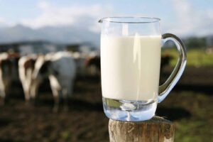 Transmissão de gripe pelo leite preocupa, alerta OMS
