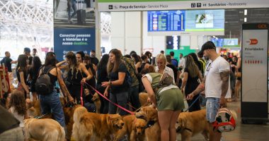 Donos de pets fazem protestos em aeroportos após morte do cão Joca 1