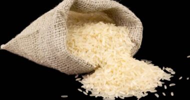 arroz-2-1000x600.jpg