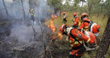 cd60eacc-combate-a-incendio-no-pantanal-envolve-brigadistas-dos-governos-federal-e-do-ms-foto-saul-schramm-governo-do-ms.jpg