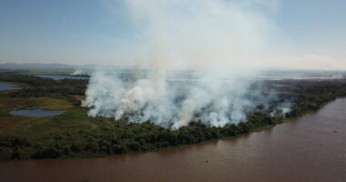 incendios-pantanal-4-conexao-planeta.jpg
