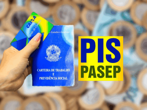 pis-pasep_resized.png